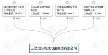 中國半導體投資需警惕 名人 效應